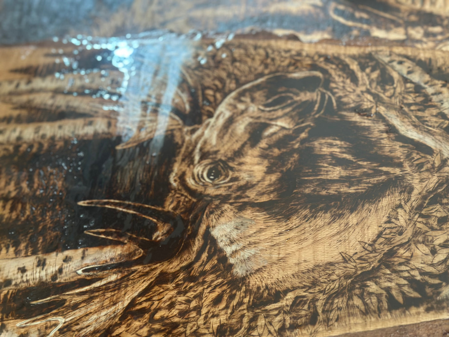 Majesty of the North