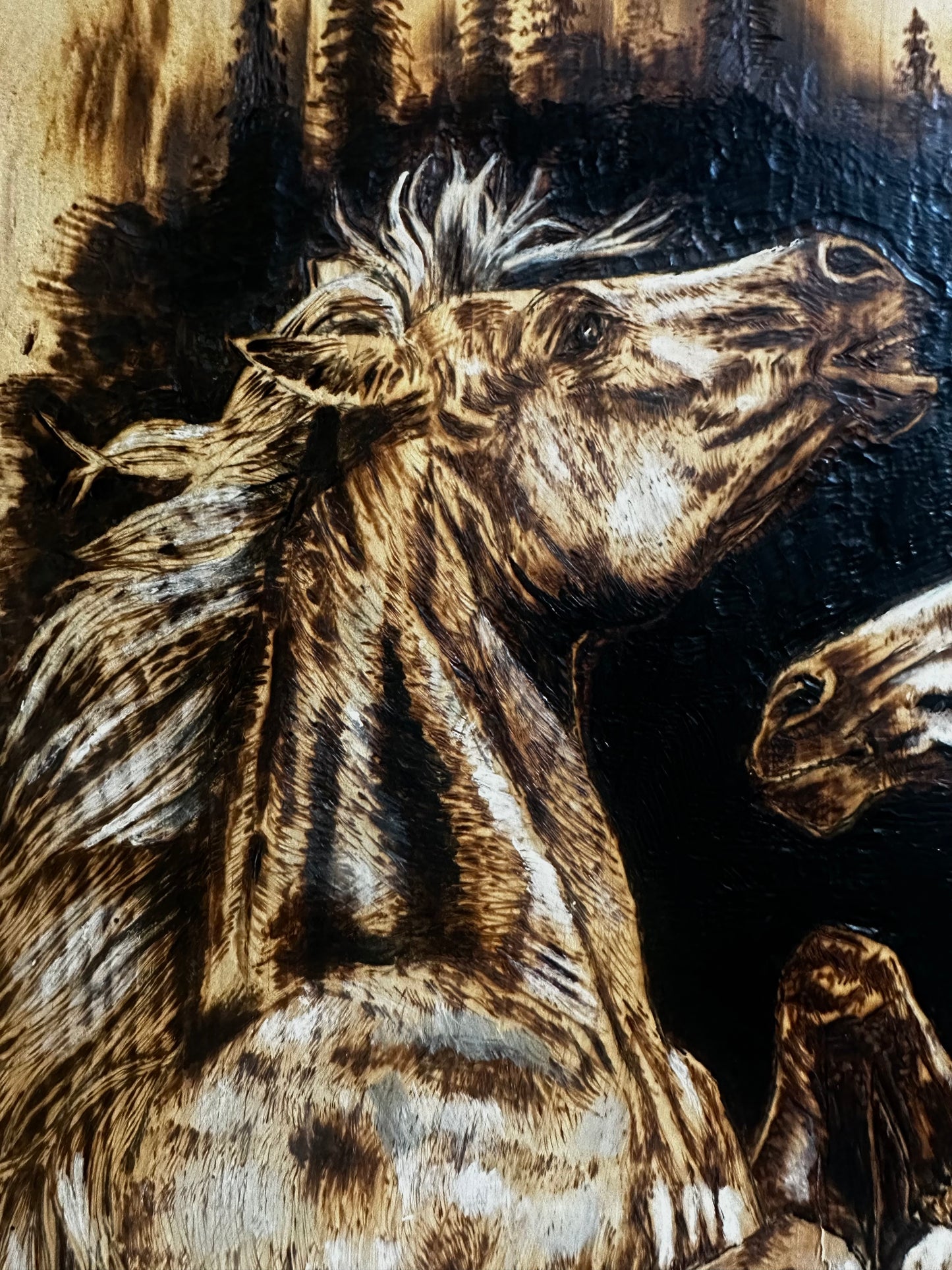 “ Tempest” Original Horse Pyrography on Wood