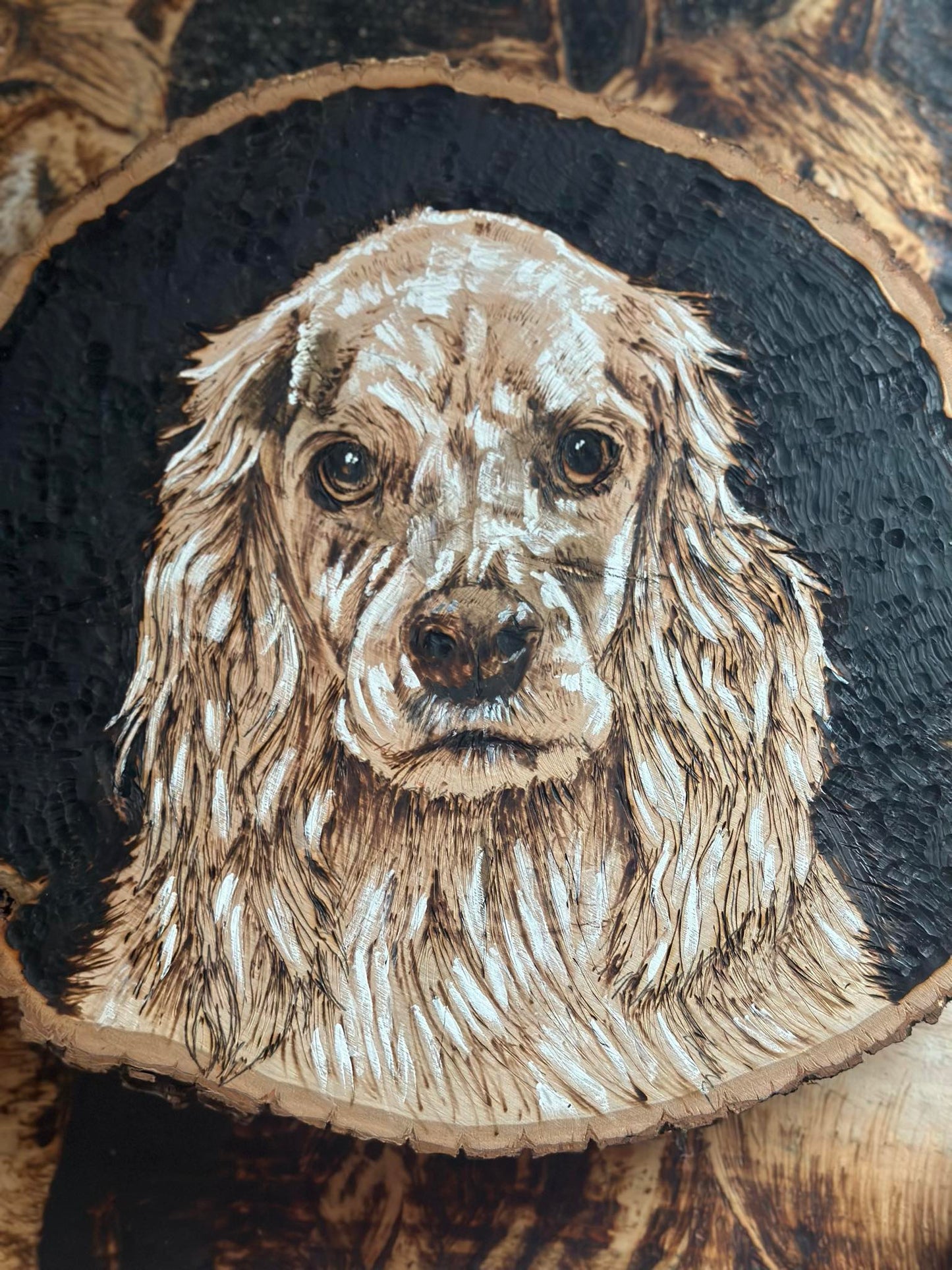Custom Commission "Harley"