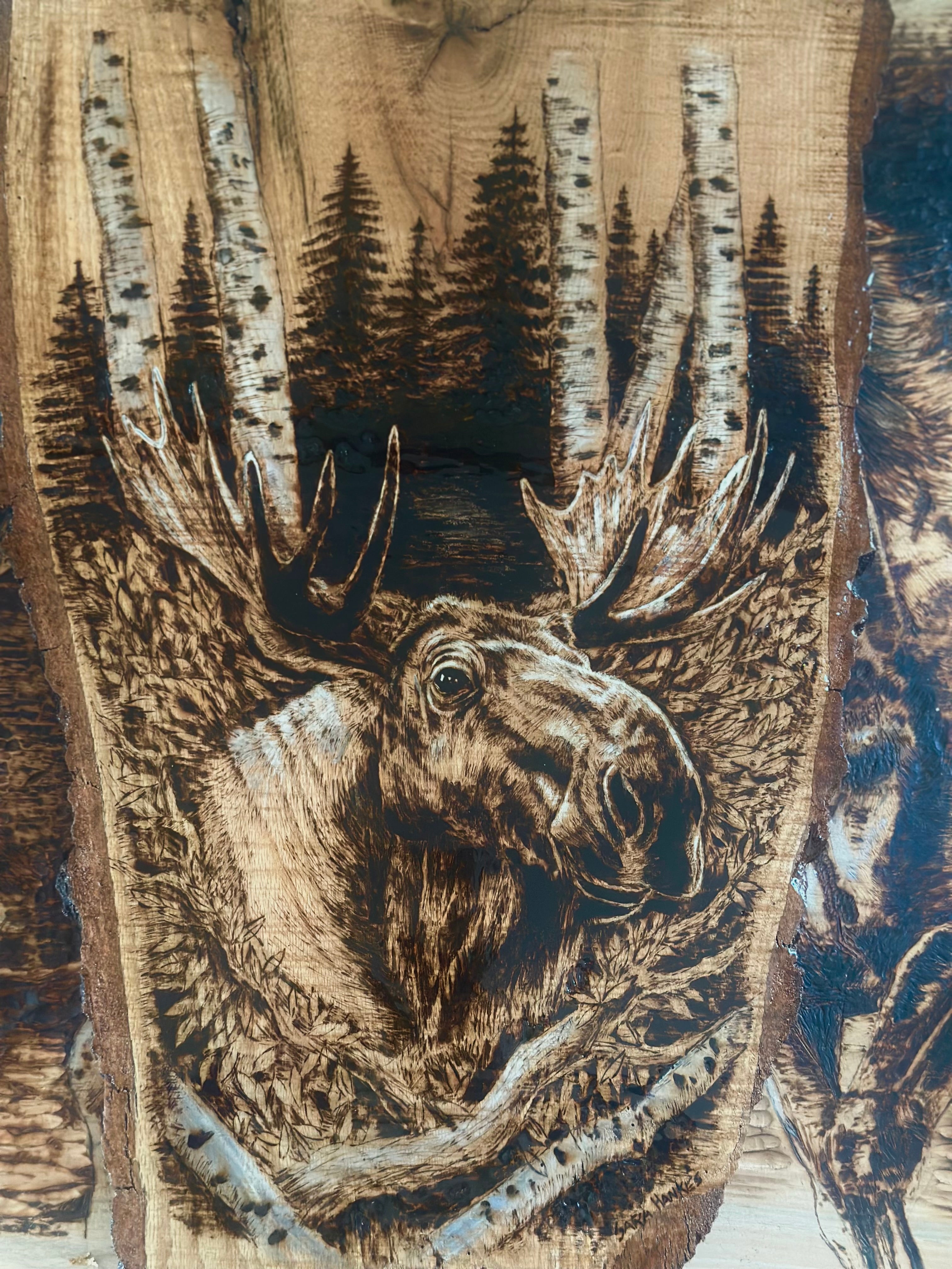 Majesty of the North