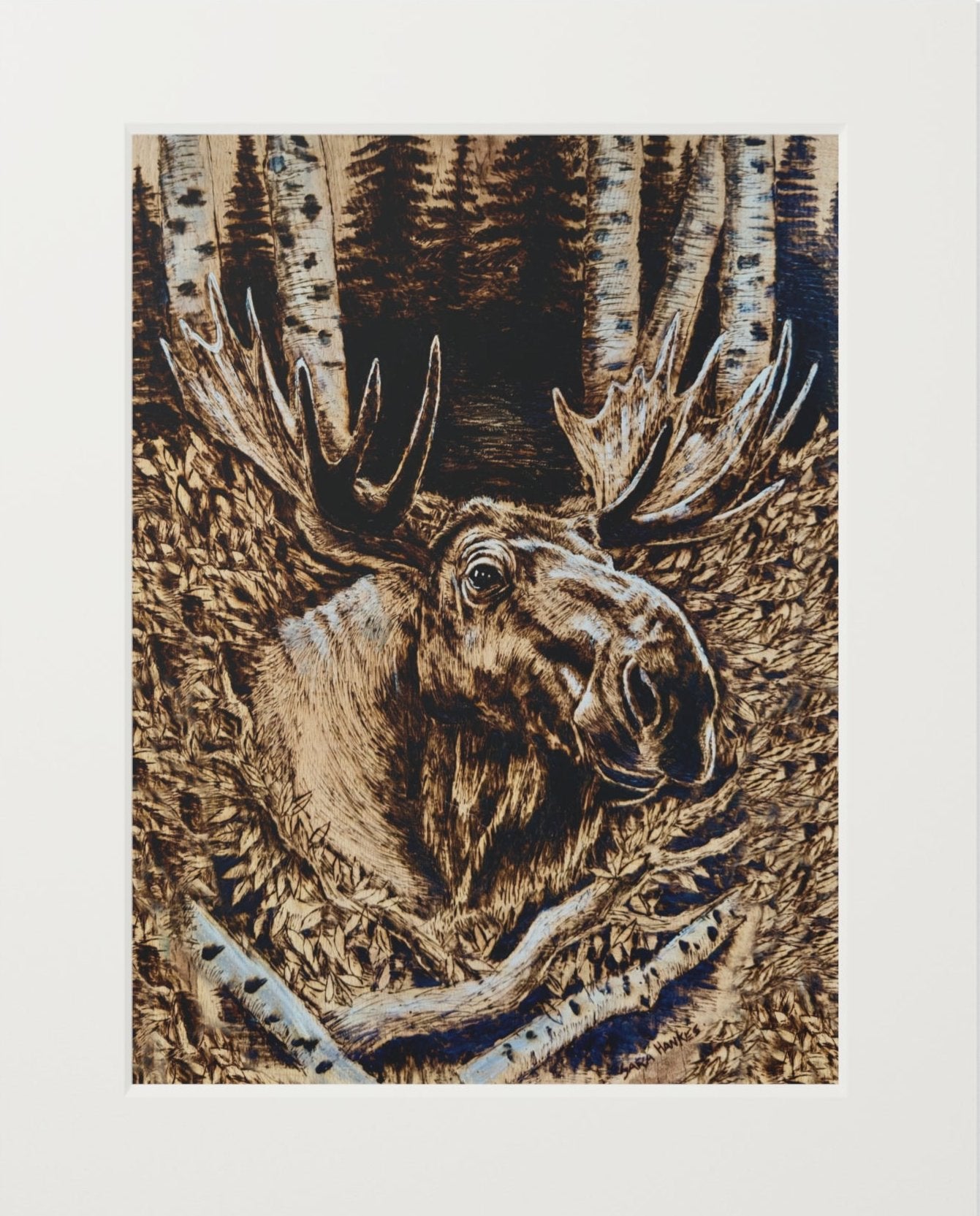 art print of moose in birch trees