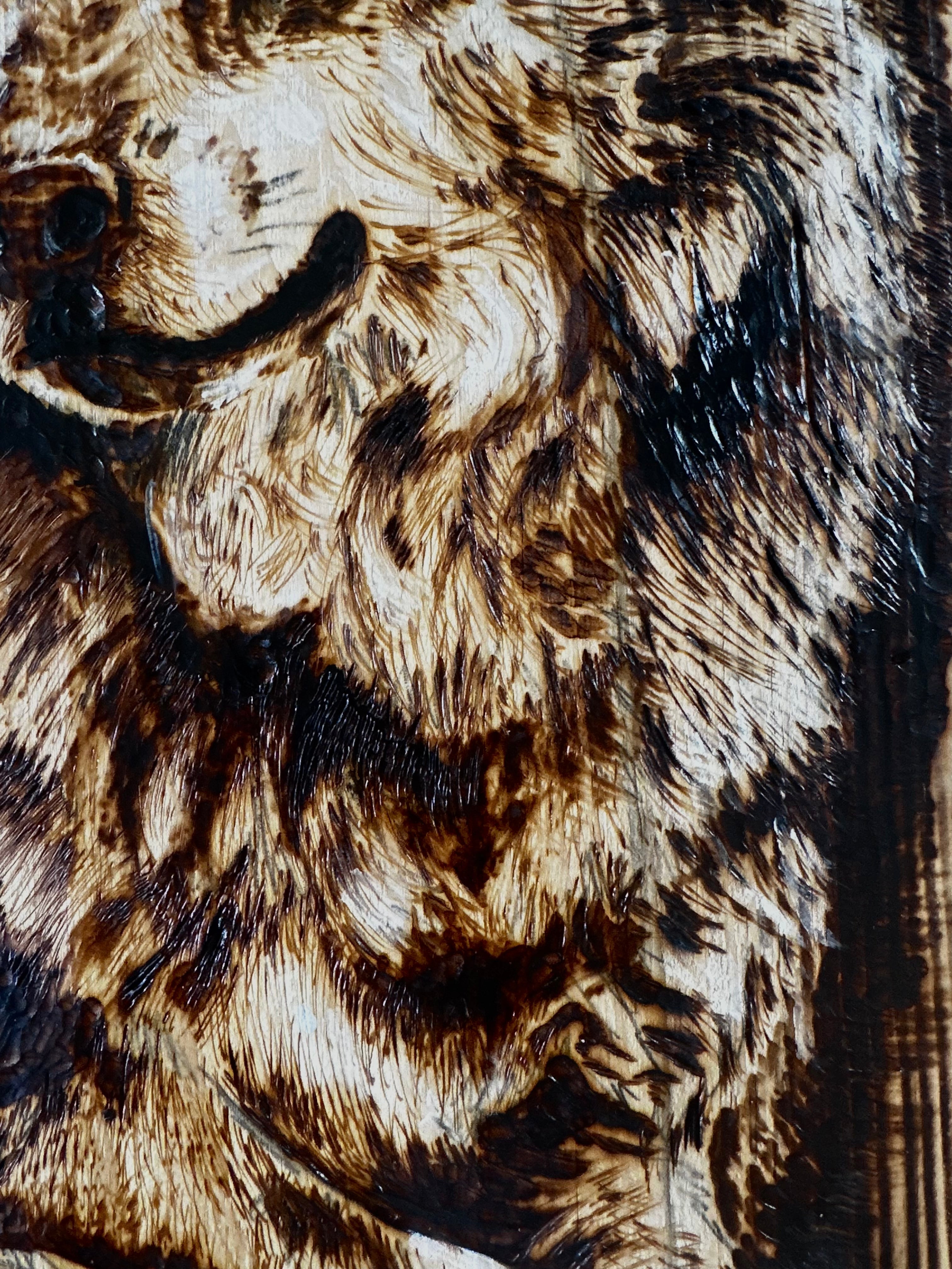 The Watcher’s Moon