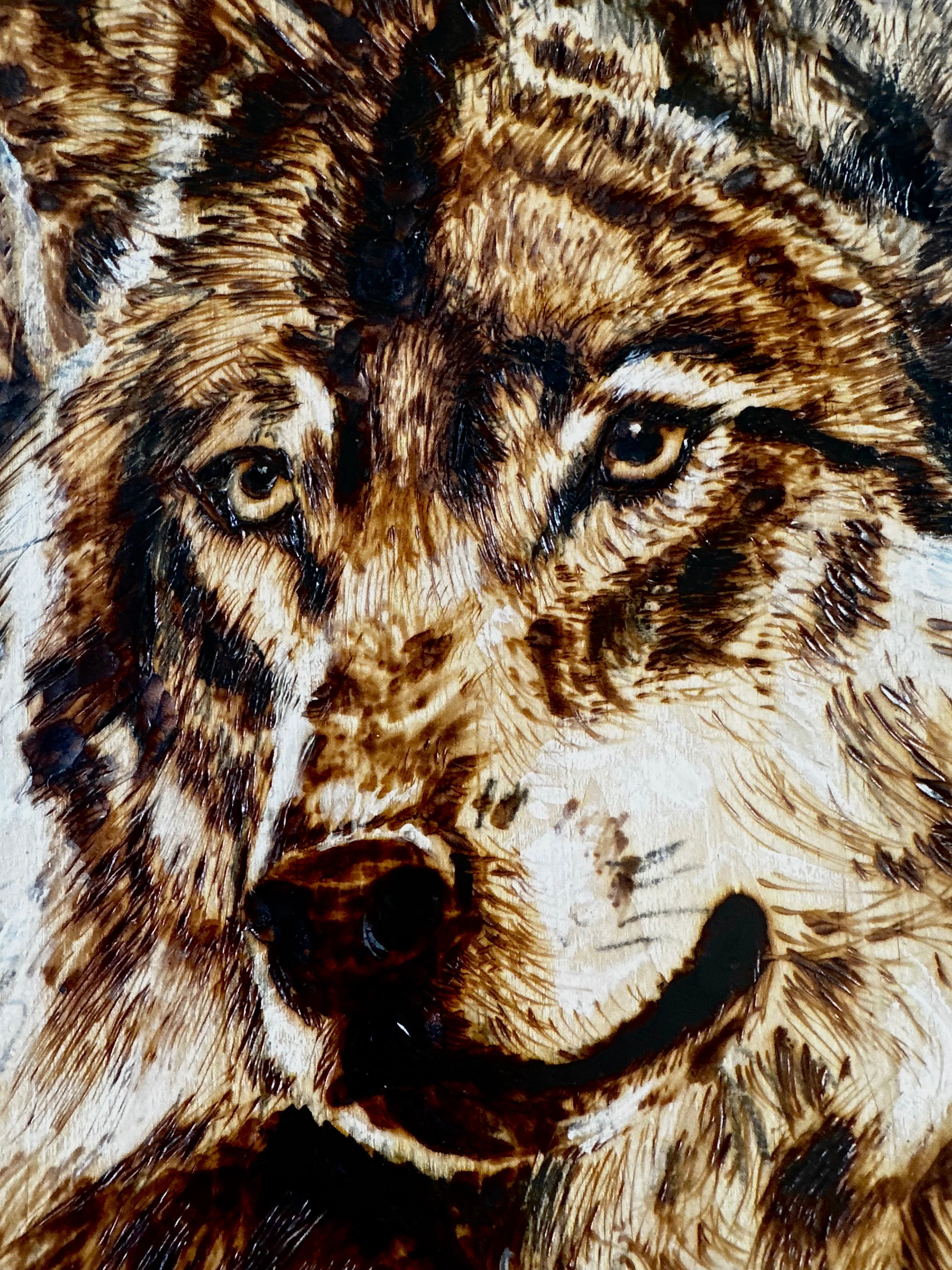 The Watcher’s Moon