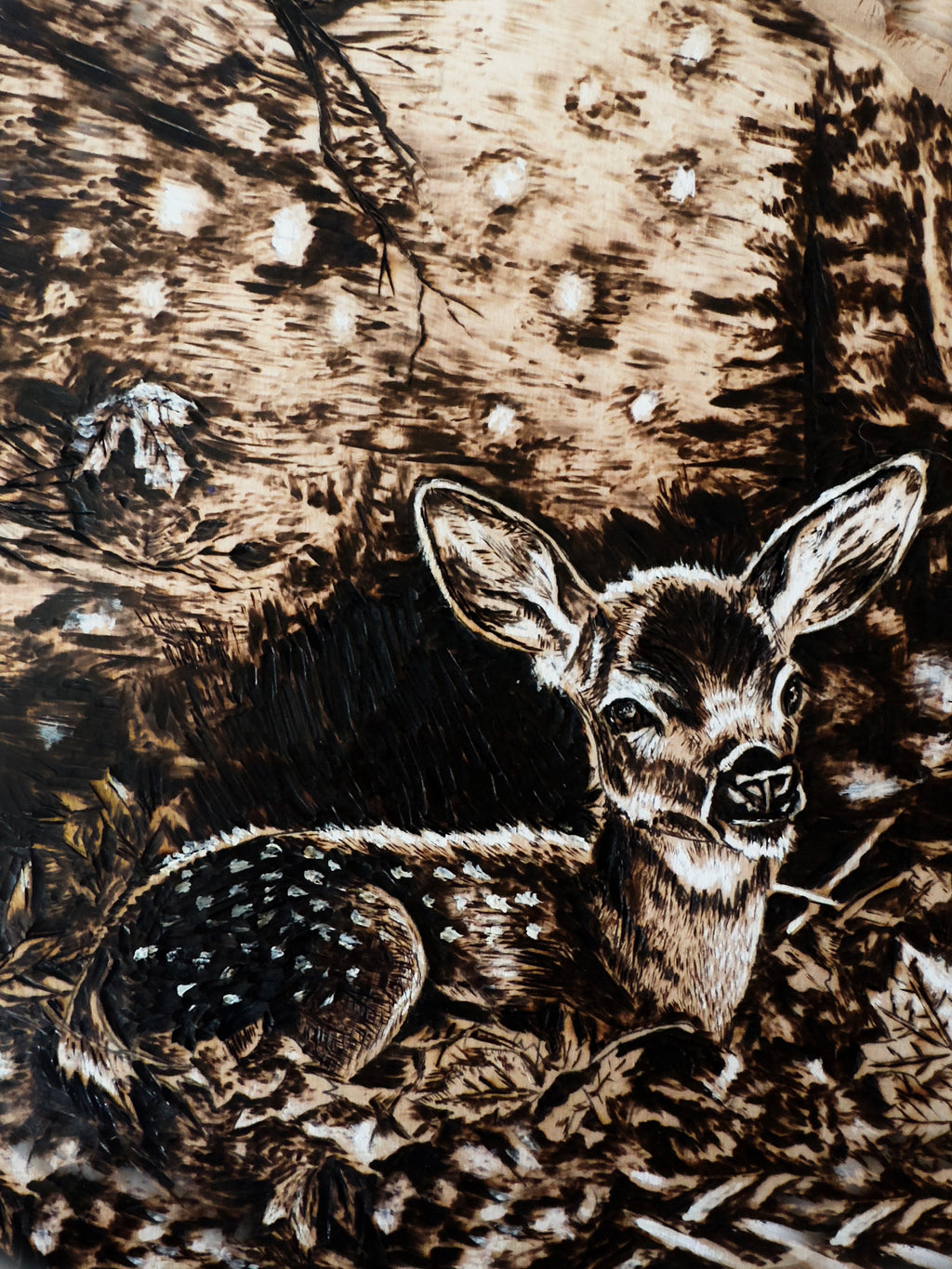 "Gentle Beginnings" Original Pyrography Fawn