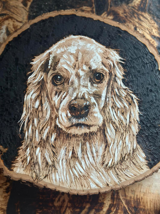Custom Commission "Harley"