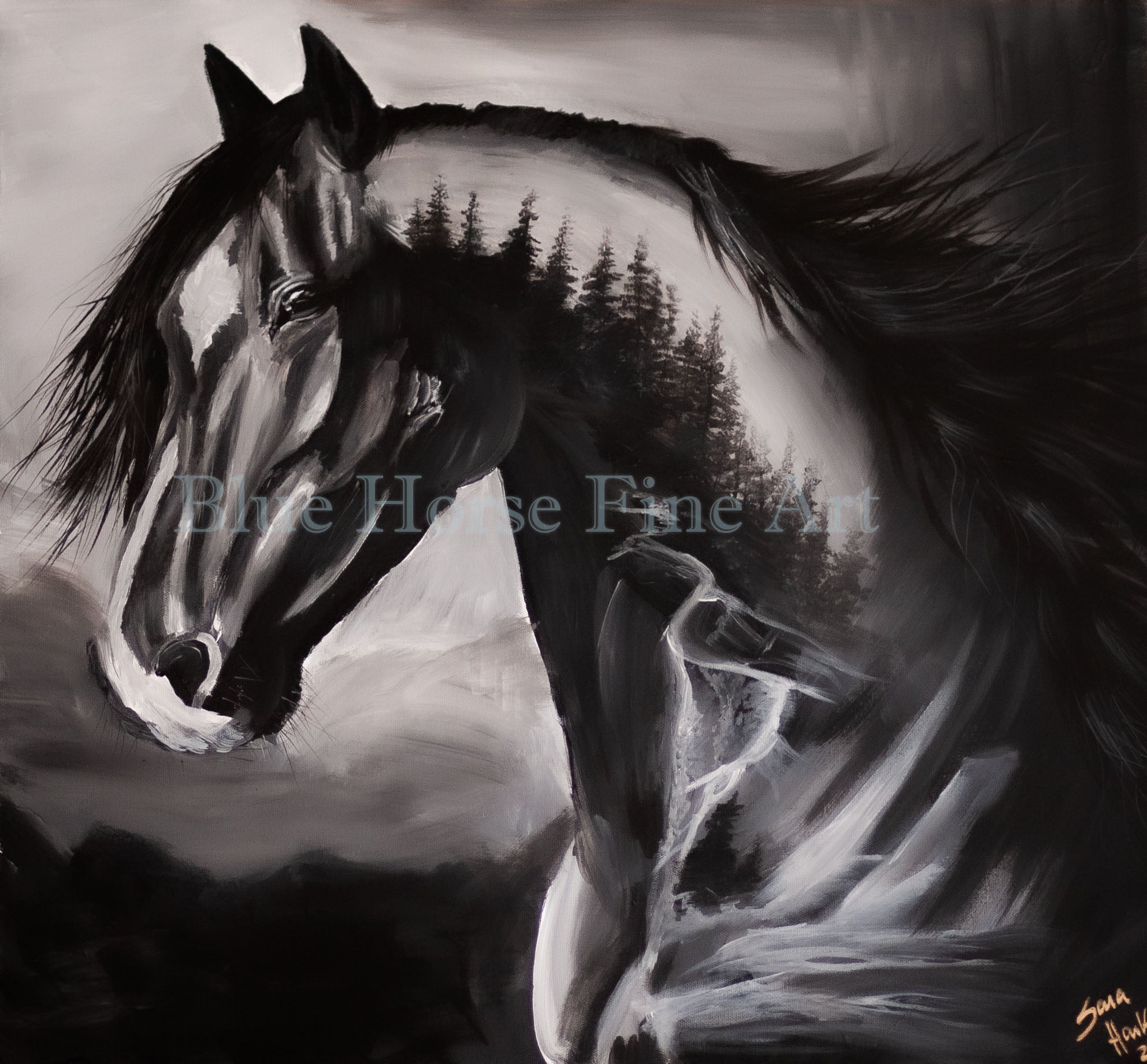 Inward Equanimity Fine Art Print